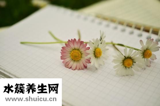 側撩腿怎么做