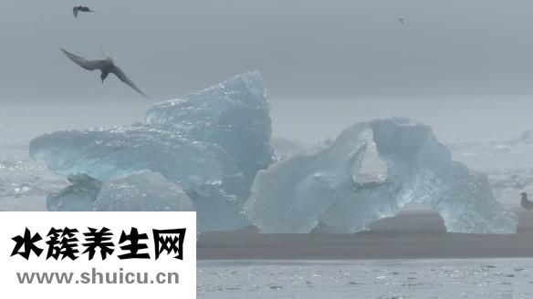 趙宏利的號子怎么掛