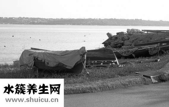 背心涼怎么辦