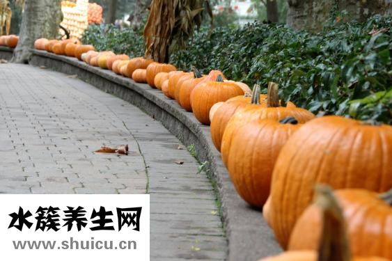 怎么燉冬瓜