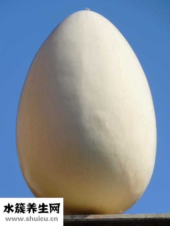 怎么用蒸籠