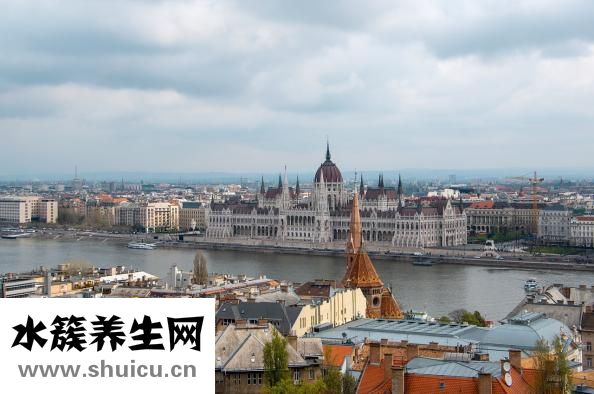 萊茵怎么玩