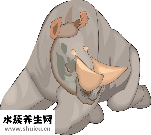 牛角怎么保養