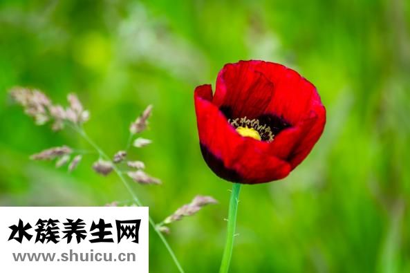 怎么培養正氣
