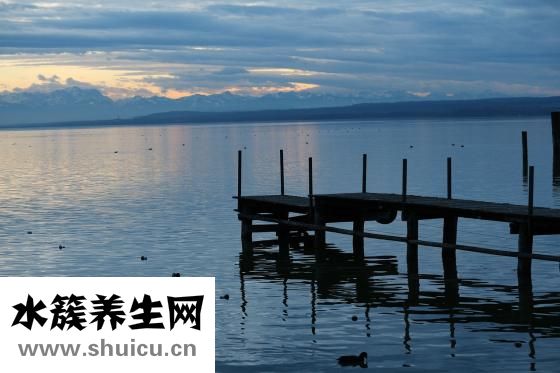 黃金耳怎么吃
