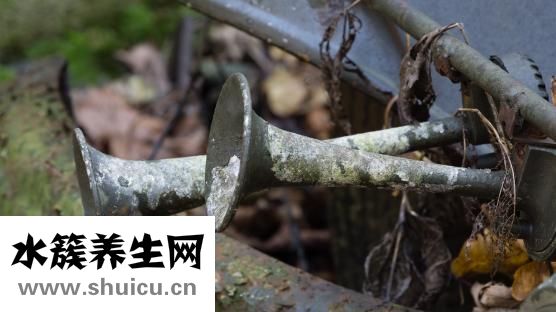 牛角怎么保養