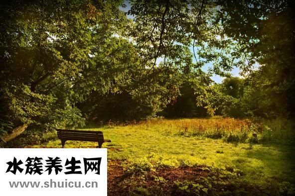 朋友結婚怎么辦