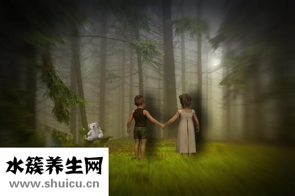泰迪發燒了怎么辦