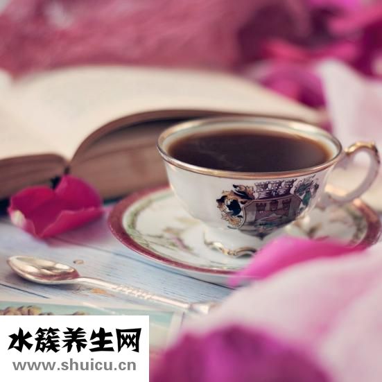 大紅袍怎么喝