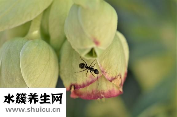怎么找中樞