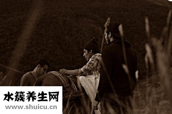 糗百怎么審核