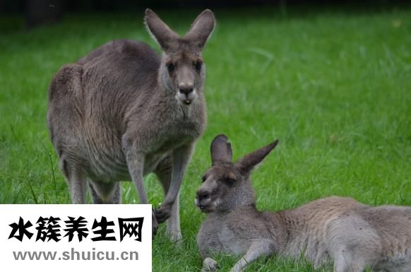 夏天嬰兒怎么