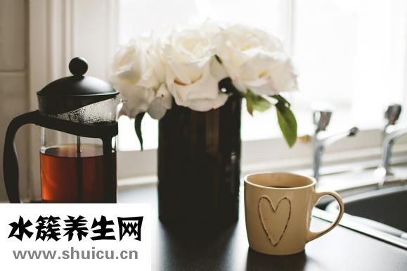大紅袍怎么喝