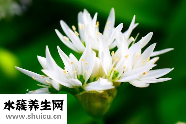 神經性頭疼怎么根治
