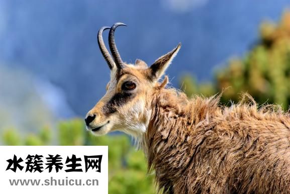 怕冷要怎么補