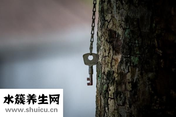 散景怎么畫