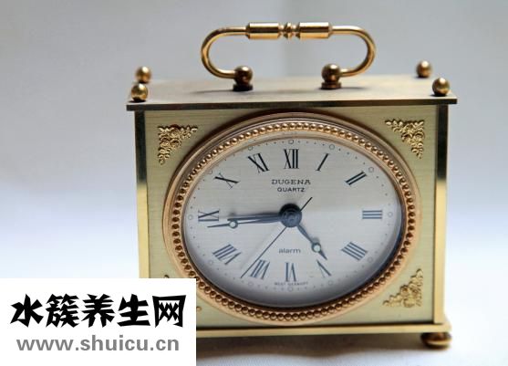 鴨子怎么孵蛋