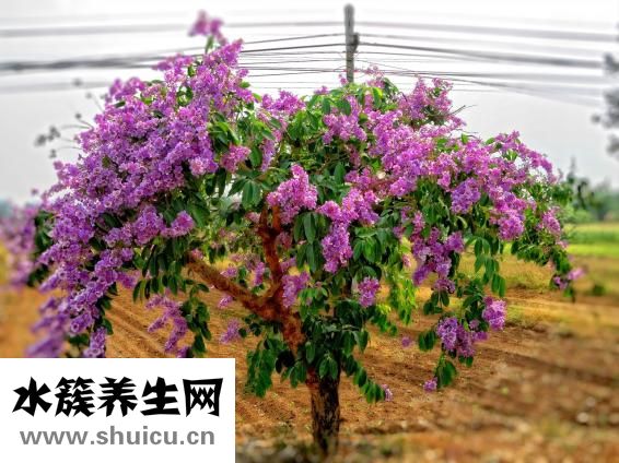 怎么還不愛