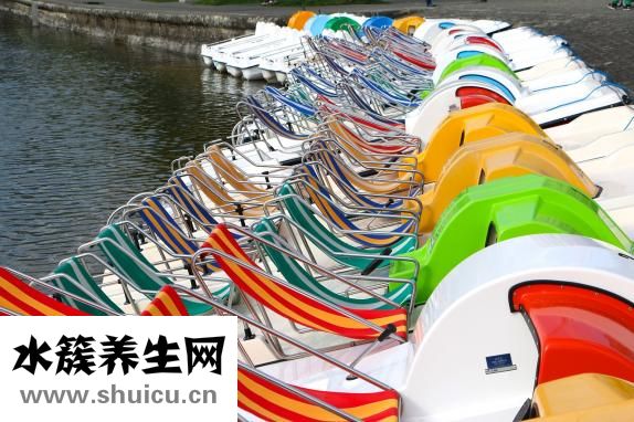 沒跑了怎么辦