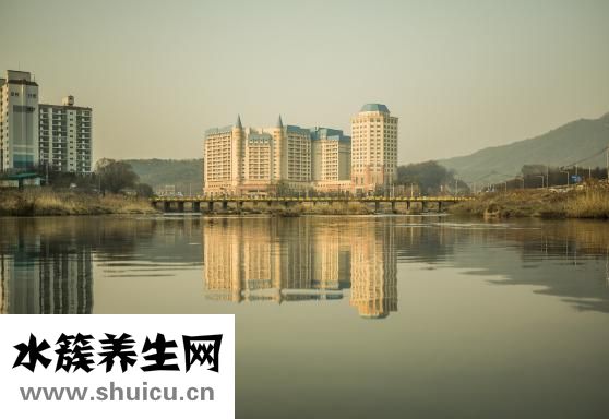 雨心怎么養