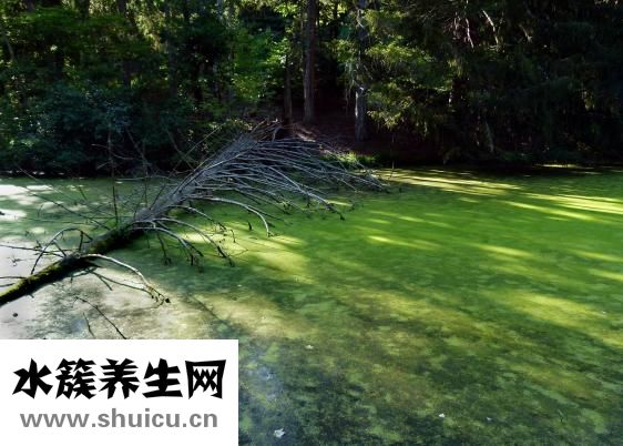 陶勛怎么吹