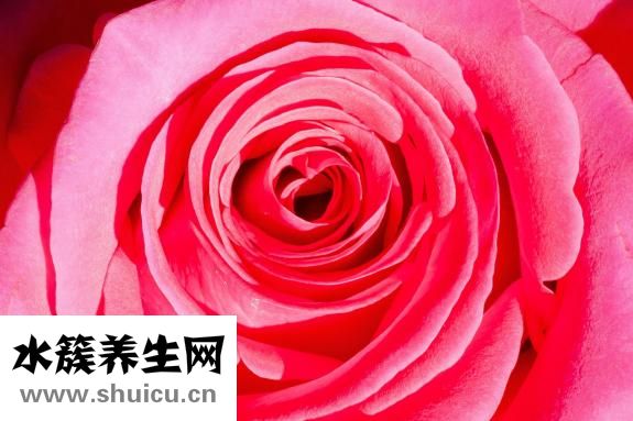 天生黃頭發怎么回事
