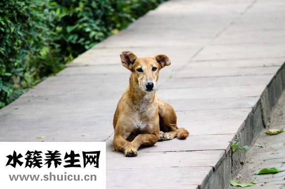 怎么自己墮胎