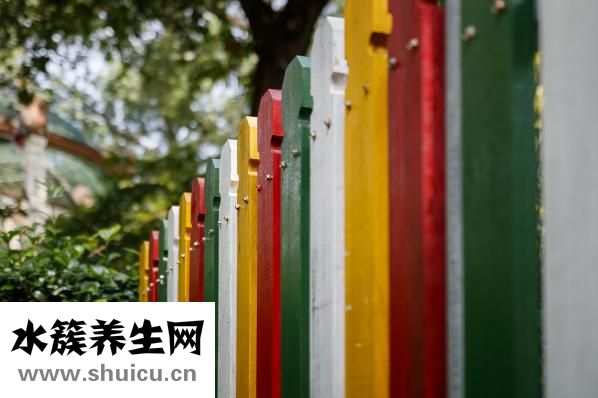 瑾五筆怎么打