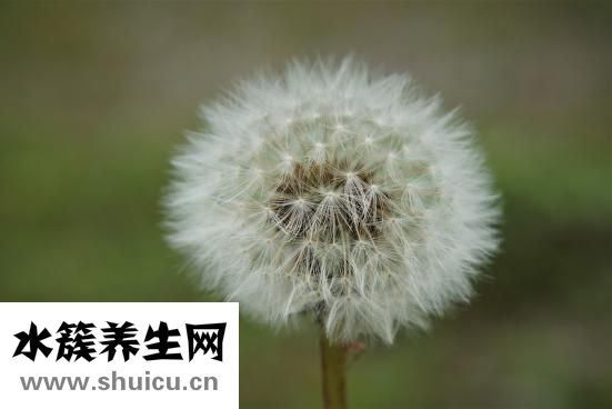 野五筆怎么打