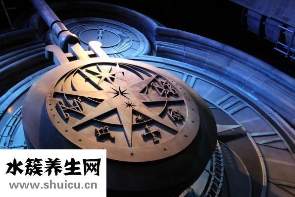 菌子怎么保存
