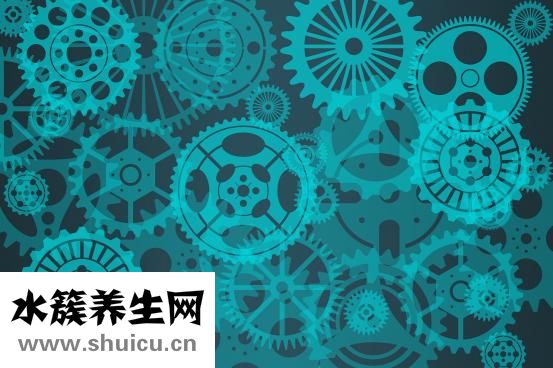 做直發怎么燙