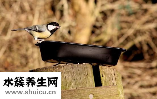 陰道角質怎么洗出來