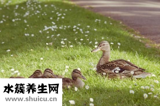 殲怎么組詞