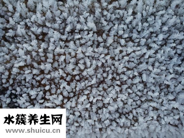 怎么知道角質層厚