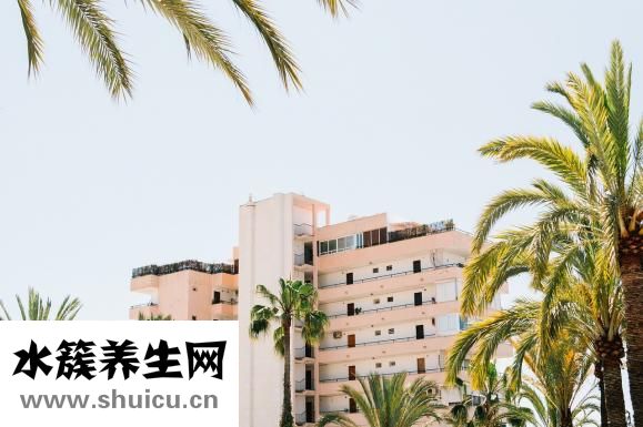 小豬怎么叫
