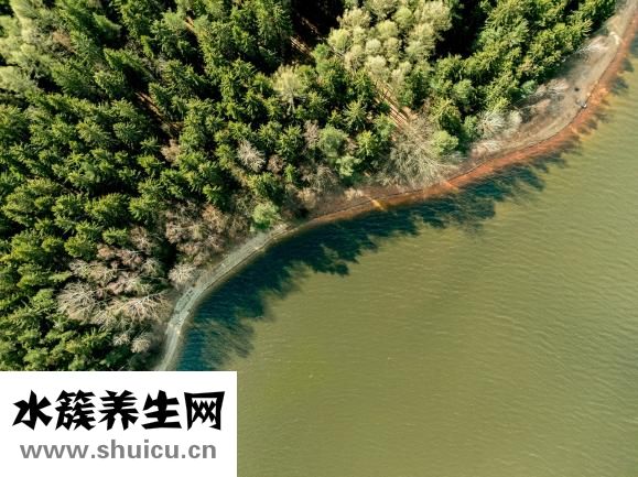 浴鹽怎么做
