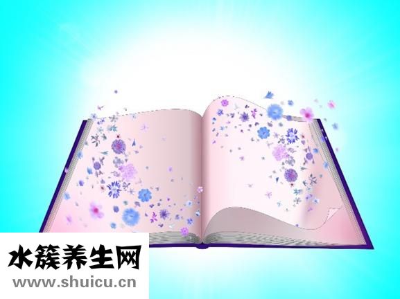 纖蟲凈怎么用