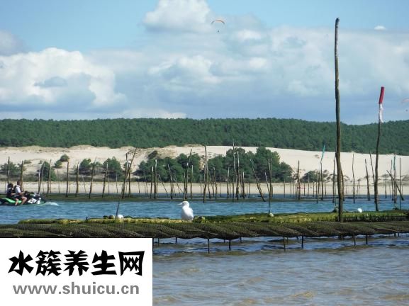 舊錢怎么處理