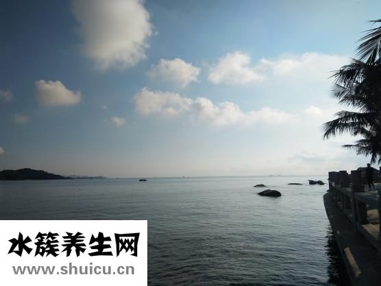 鴨舌怎么燒