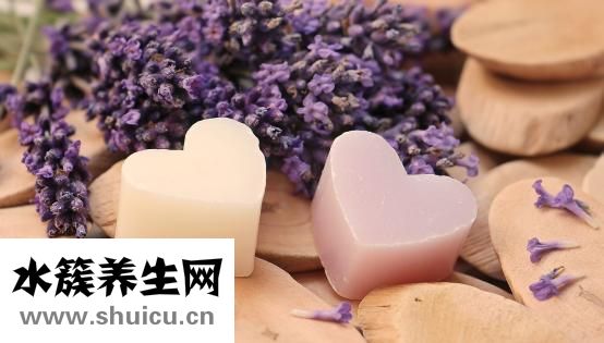 怎么活捉蚊子
