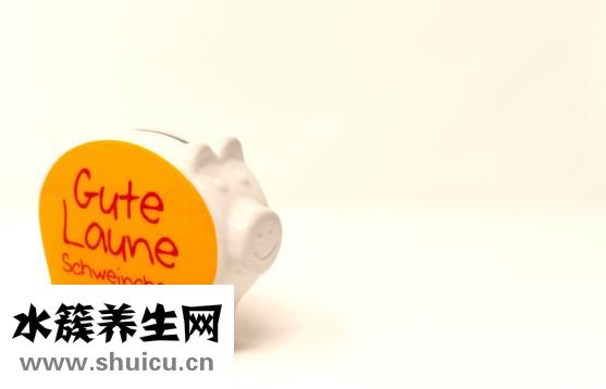 螃蟹怎么儲存