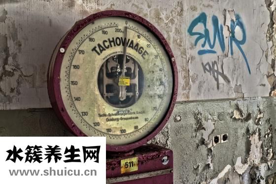 怎么訓練老鼠