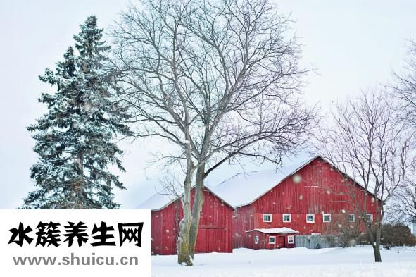 祛白酊怎么用生姜
