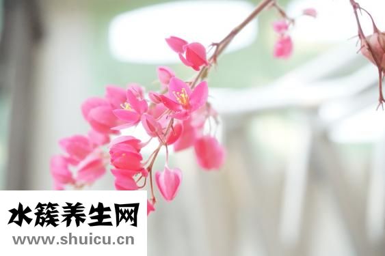 油點子怎么洗掉