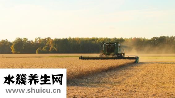 榨粉怎么做
