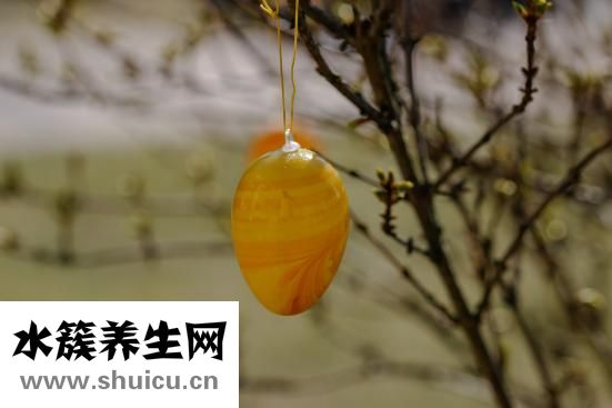 老婆面怎么做