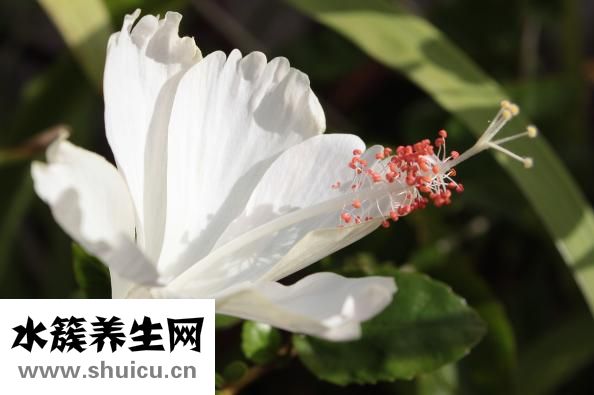 怎么欣賞別人