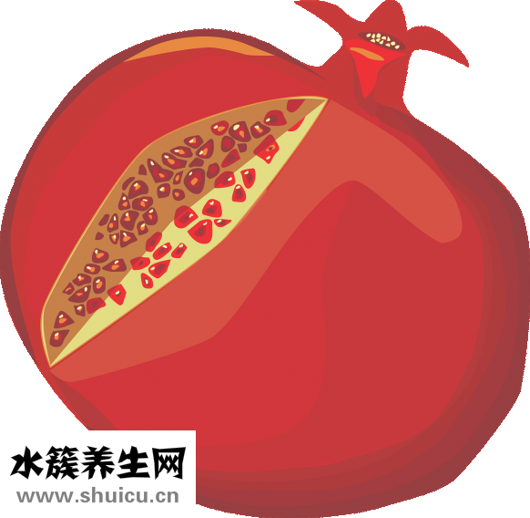 看石榴怎么養
