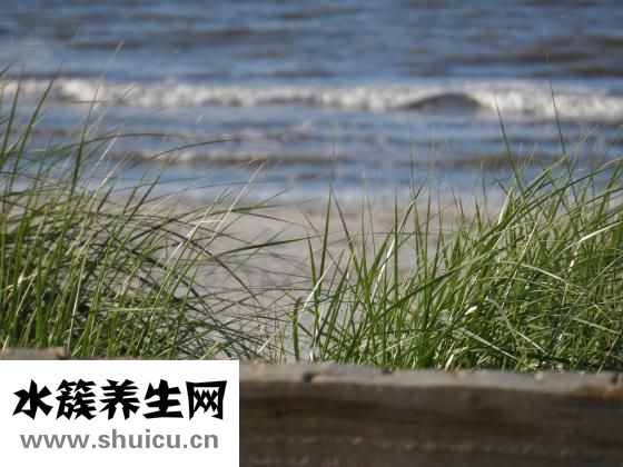 怎么把腿變長
