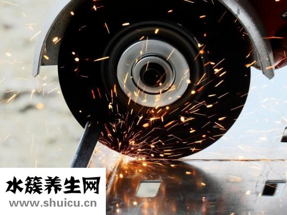 觀音竹怎么種